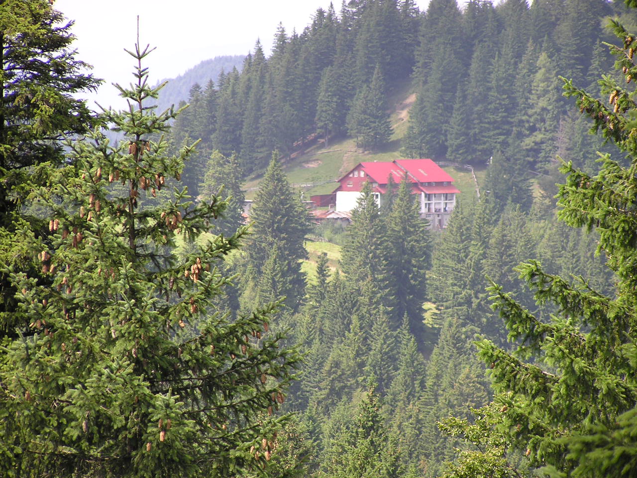 Cabana Diham