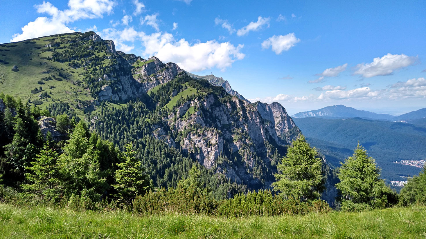 Bucegi
