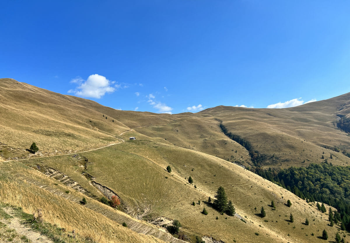 Telegondolă Azuga → Vf. Baiul Mare → retur