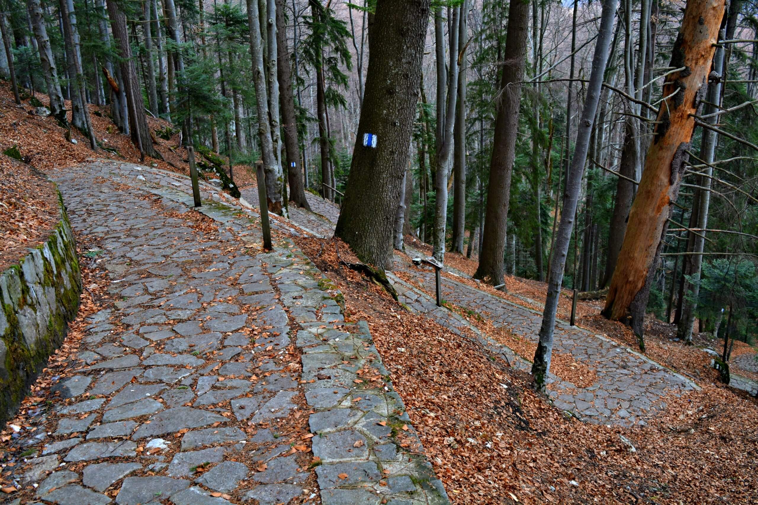Gara Sinaia → Poiana Stânii (Stâna Regală)